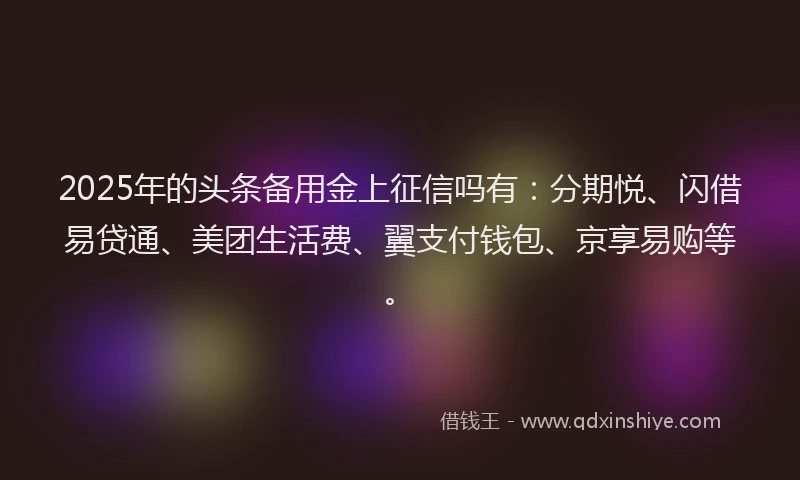 2025年的头条备用金上征信吗有：分期悦、闪借易贷通、美团生活费、翼支付钱包、京享易购等。