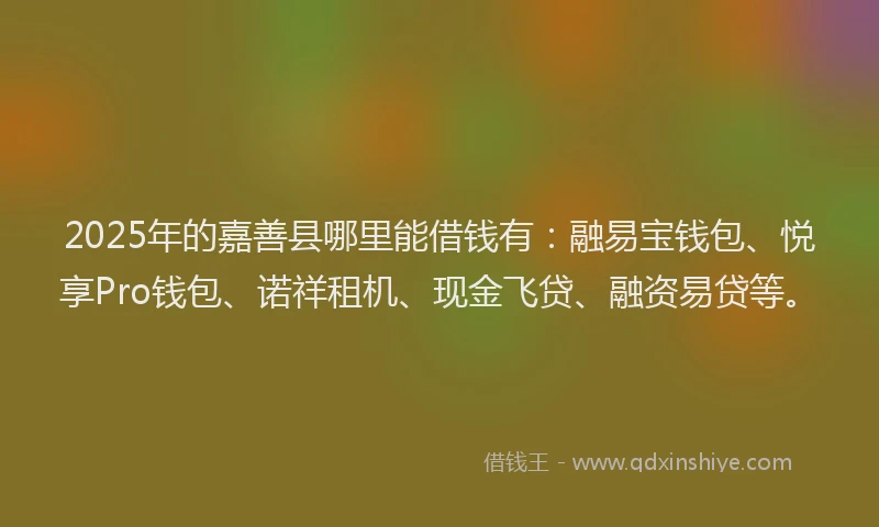 2025年的嘉善县哪里能借钱有：融易宝钱包、悦享Pro钱包、诺祥租机、现金飞贷、融资易贷等。
