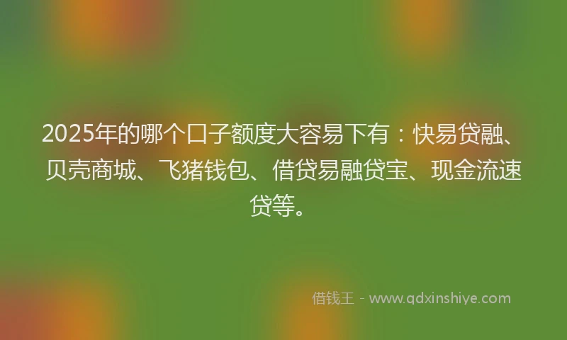 2025年的哪个口子额度大容易下有：快易贷融、贝壳商城、飞猪钱包、借贷易融贷宝、现金流速贷等。