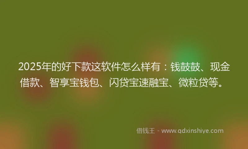 2025年的好下款这软件怎么样有：钱鼓鼓、现金借款、智享宝钱包、闪贷宝速融宝、微粒贷等。