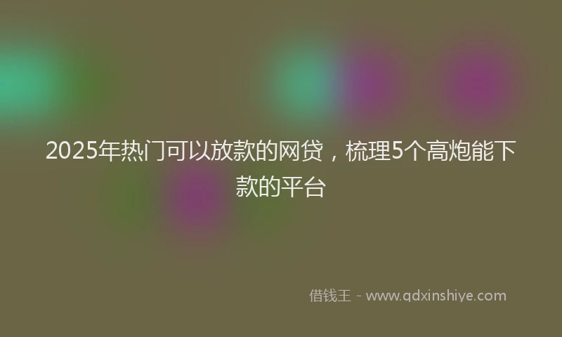 2025年热门可以放款的网贷，梳理5个高炮能下款的平台