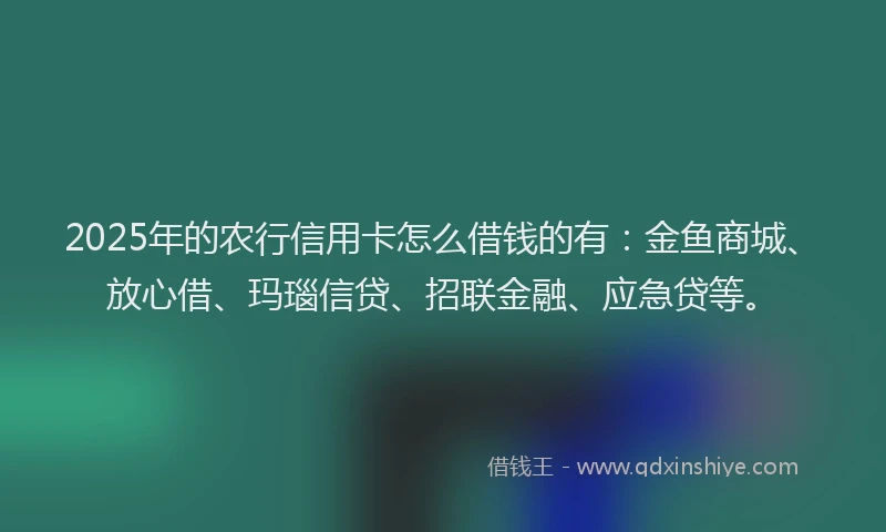 2025年的农行信用卡怎么借钱的有：金鱼商城、放心借、玛瑙信贷、招联金融、应急贷等。