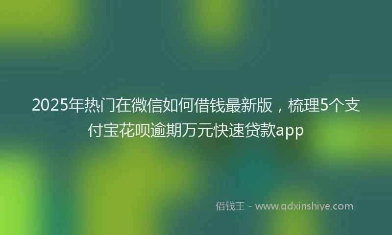 2025年热门在微信如何借钱最新版，梳理5个支付宝花呗逾期万元快速贷款app