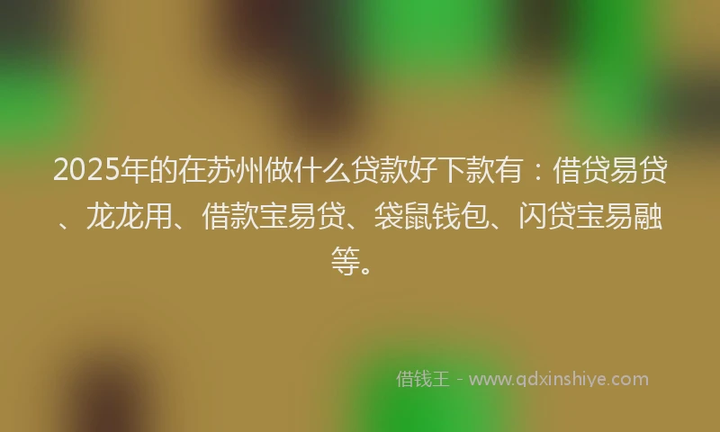 2025年的在苏州做什么贷款好下款有：借贷易贷、龙龙用、借款宝易贷、袋鼠钱包、闪贷宝易融等。