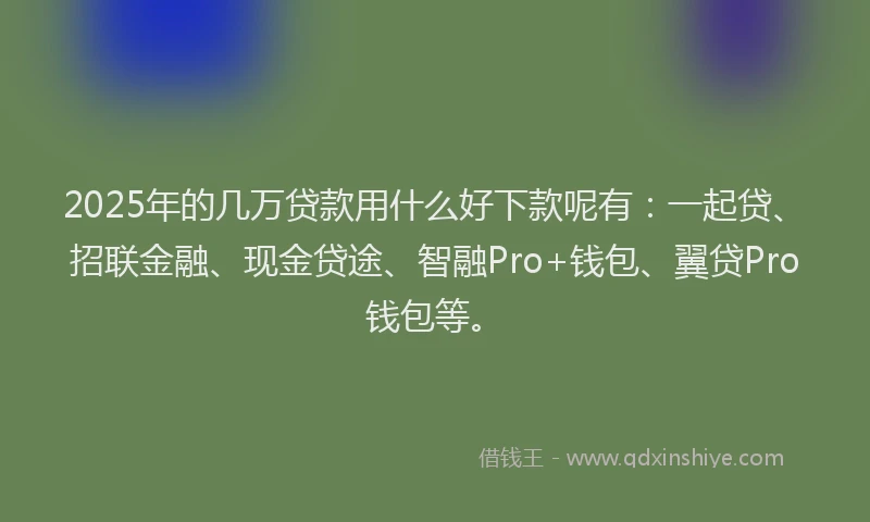 2025年的几万贷款用什么好下款呢有：一起贷、招联金融、现金贷途、智融Pro+钱包、翼贷Pro钱包等。