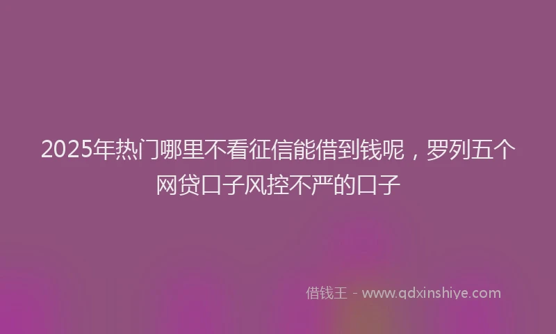 2025年热门哪里不看征信能借到钱呢，罗列五个网贷口子风控不严的口子