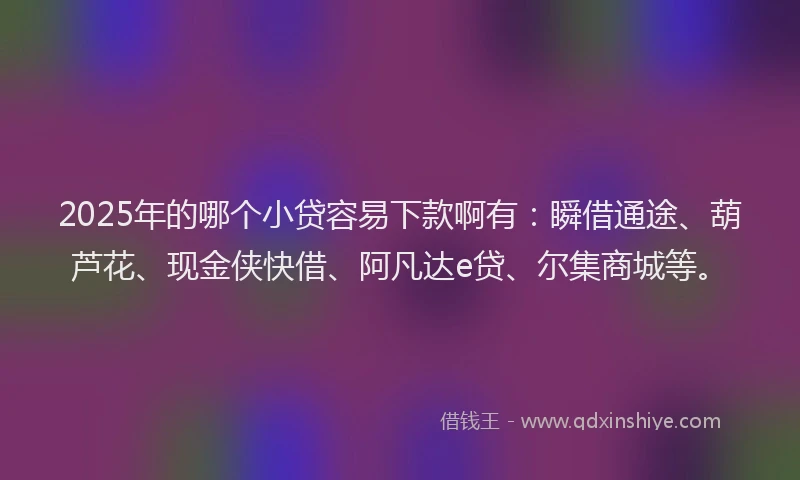 2025年的哪个小贷容易下款啊有：瞬借通途、葫芦花、现金侠快借、阿凡达e贷、尔集商城等。