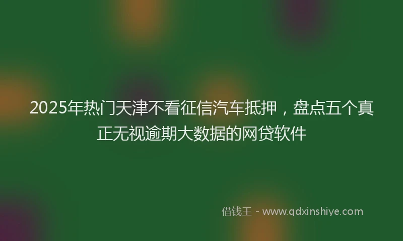 2025年热门天津不看征信汽车抵押，盘点五个真正无视逾期大数据的网贷软件