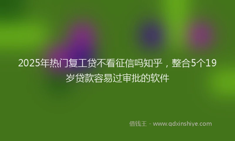 2025年热门复工贷不看征信吗知乎，整合5个19岁贷款容易过审批的软件