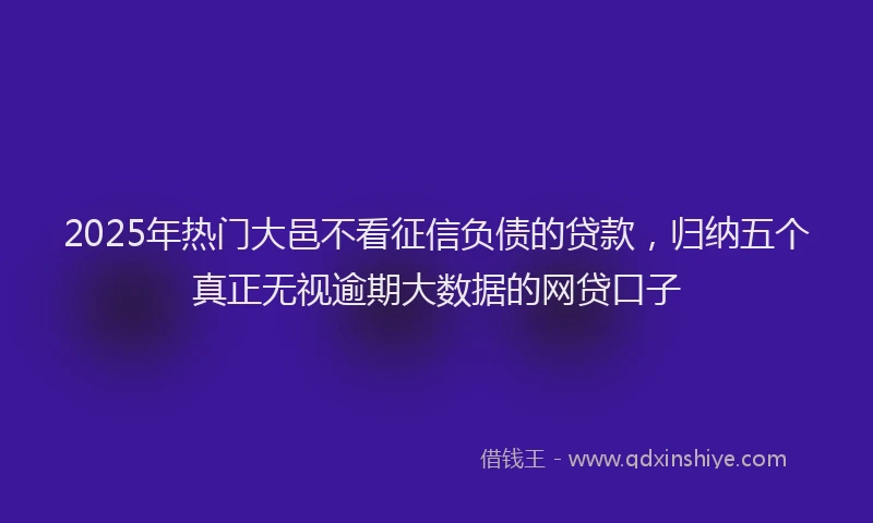 2025年热门大邑不看征信负债的贷款，归纳五个真正无视逾期大数据的网贷口子