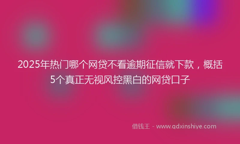 2025年热门哪个网贷不看逾期征信就下款，概括5个真正无视风控黑白的网贷口子