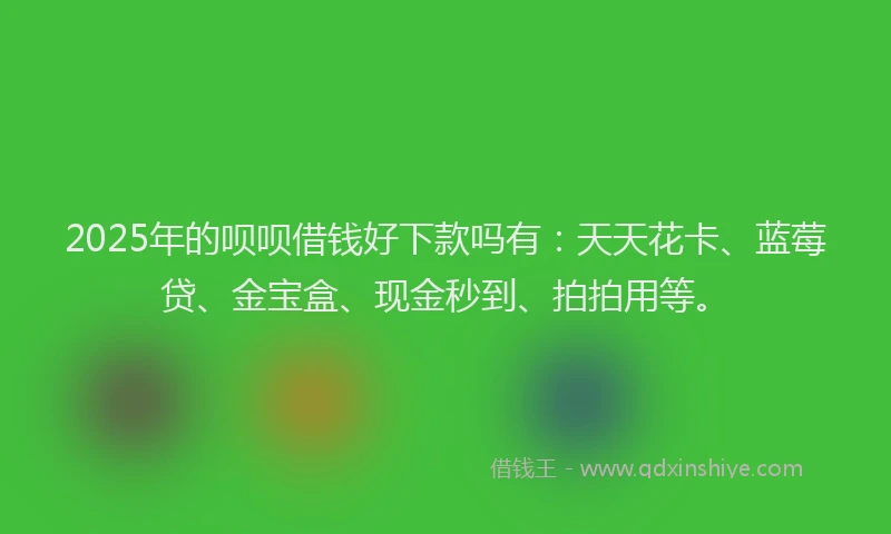 2025年的呗呗借钱好下款吗有：天天花卡、蓝莓贷、金宝盒、现金秒到、拍拍用等。