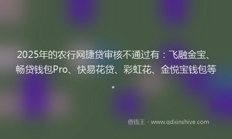 2025年的农行网捷贷审核不通过有：飞融金宝、畅贷钱包Pro、快易花贷、彩虹花、金悦宝钱包等。