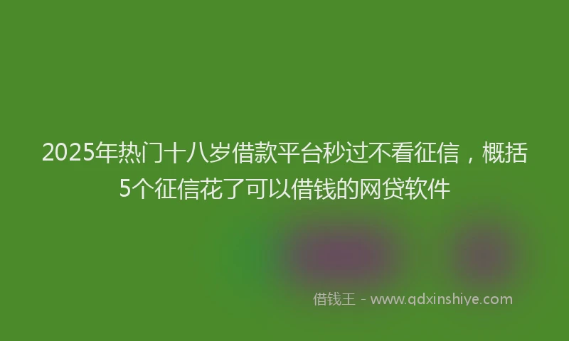 2025年热门十八岁借款平台秒过不看征信，概括5个征信花了可以借钱的网贷软件