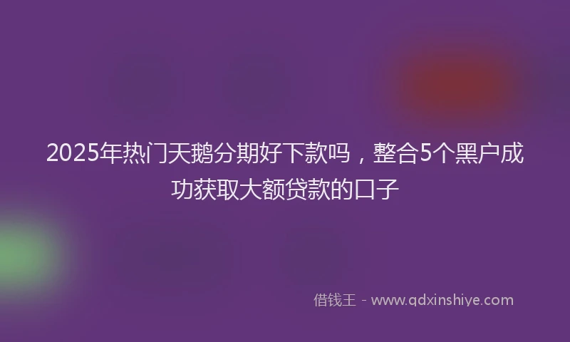 2025年热门天鹅分期好下款吗，整合5个黑户成功获取大额贷款的口子