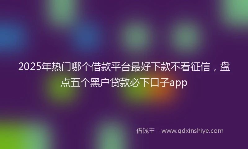 2025年热门哪个借款平台最好下款不看征信，盘点五个黑户贷款必下口子app