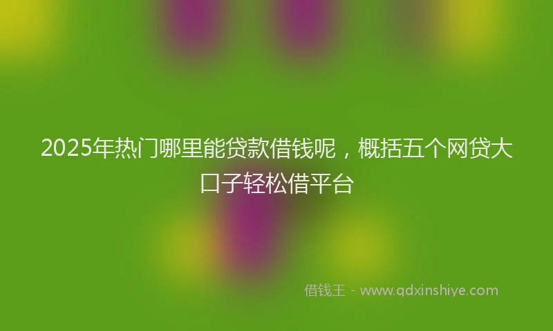 2025年热门哪里能贷款借钱呢，概括五个网贷大口子轻松借平台