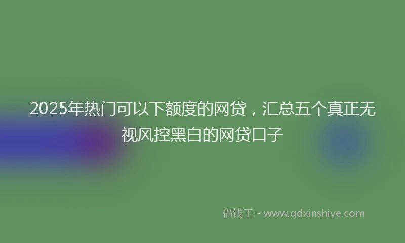 2025年热门可以下额度的网贷，汇总五个真正无视风控黑白的网贷口子