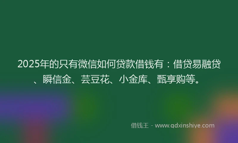 2025年的只有微信如何贷款借钱有：借贷易融贷、瞬信金、芸豆花、小金库、甄享购等。