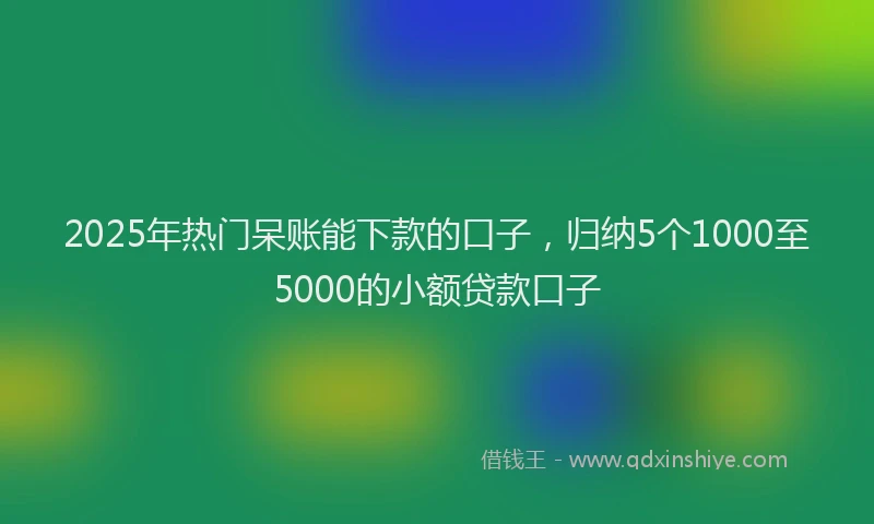 2025年热门呆账能下款的口子，归纳5个1000至5000的小额贷款口子