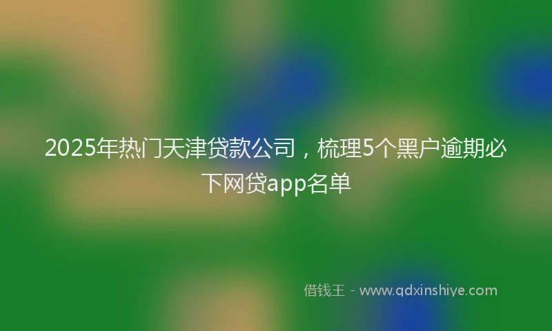2025年热门天津贷款公司，梳理5个黑户逾期必下网贷app名单