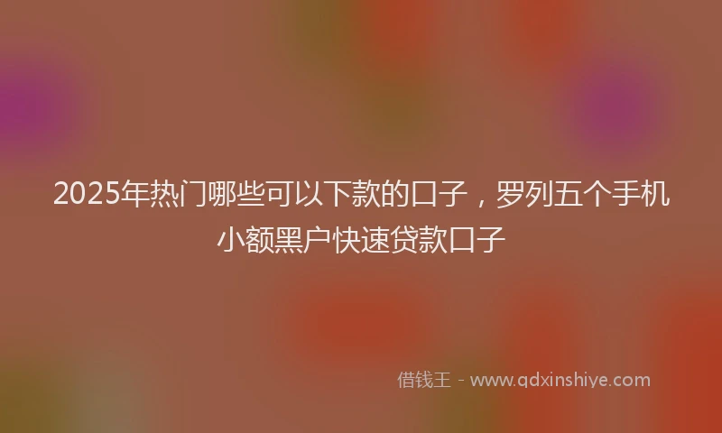 2025年热门哪些可以下款的口子，罗列五个手机小额黑户快速贷款口子