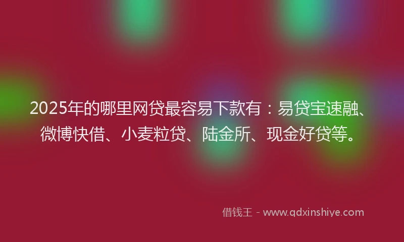 2025年的哪里网贷最容易下款有：易贷宝速融、微博快借、小麦粒贷、陆金所、现金好贷等。