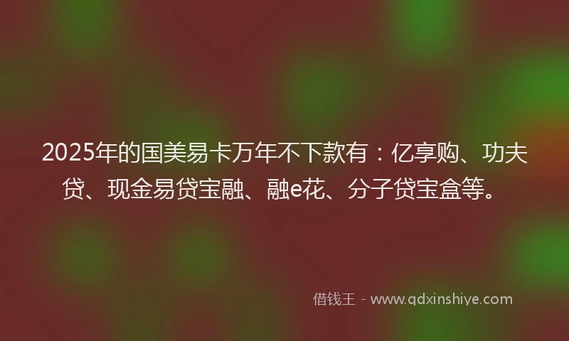 2025年的国美易卡万年不下款有：亿享购、功夫贷、现金易贷宝融、融e花、分子贷宝盒等。
