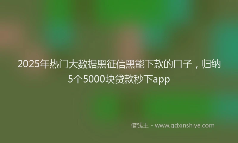 2025年热门大数据黑征信黑能下款的口子，归纳5个5000块贷款秒下app