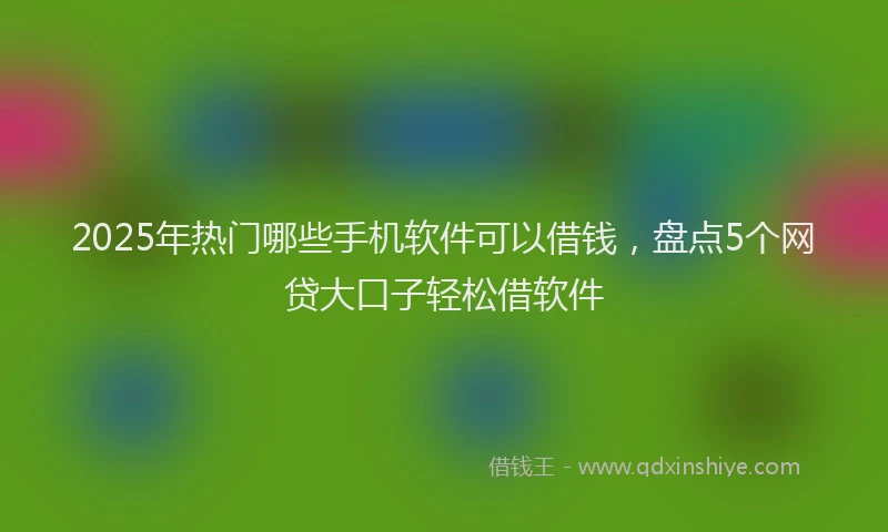 2025年热门哪些手机软件可以借钱，盘点5个网贷大口子轻松借软件