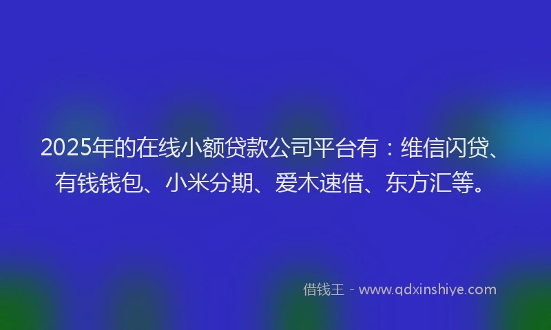 2025年的在线小额贷款公司平台有：维信闪贷、有钱钱包、小米分期、爱木速借、东方汇等。