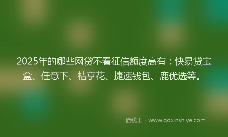 2025年的哪些网贷不看征信额度高有：快易贷宝盒、任意下、桔享花、捷速钱包、鹿优选等。