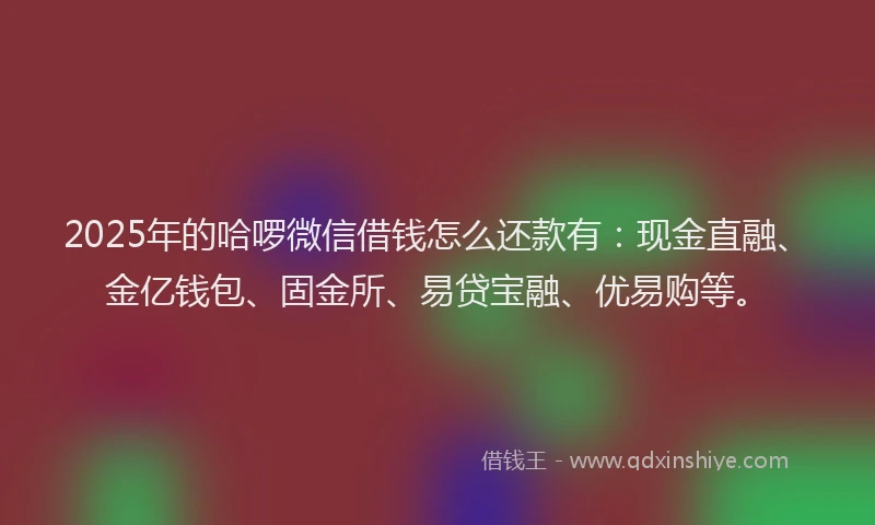 2025年的哈啰微信借钱怎么还款有：现金直融、金亿钱包、固金所、易贷宝融、优易购等。