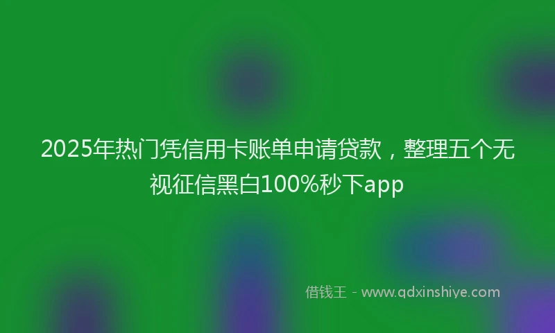 2025年热门凭信用卡账单申请贷款，整理五个无视征信黑白100%秒下app