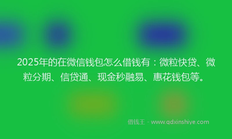 2025年的在微信钱包怎么借钱有：微粒快贷、微粒分期、信贷通、现金秒融易、惠花钱包等。