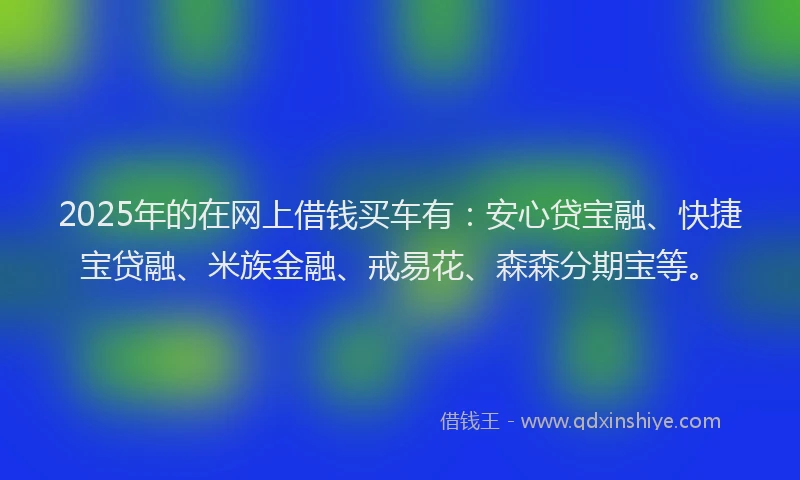 2025年的在网上借钱买车有：安心贷宝融、快捷宝贷融、米族金融、戒易花、森森分期宝等。