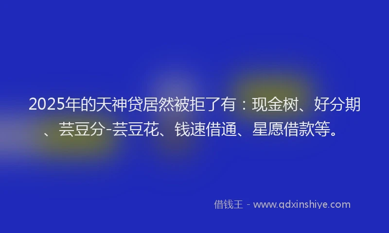 2025年的天神贷居然被拒了有：现金树、好分期、芸豆分-芸豆花、钱速借通、星愿借款等。