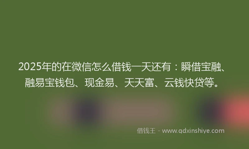 2025年的在微信怎么借钱一天还有:瞬借宝融、融易宝钱包、现金易、天天富、云钱快贷等。