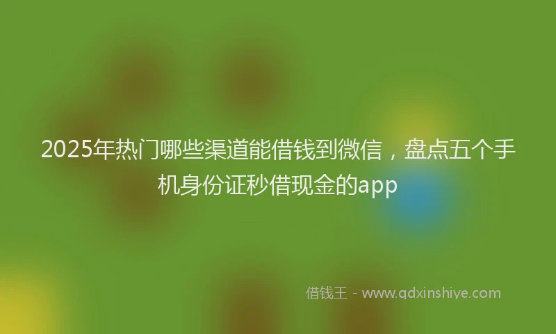 2025年热门哪些渠道能借钱到微信，盘点五个手机身份证秒借现金的app