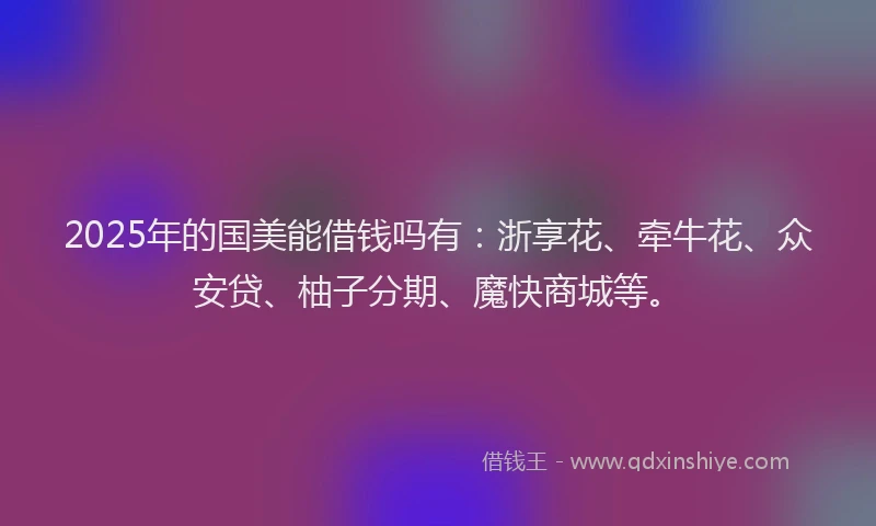 2025年的国美能借钱吗有：浙享花、牵牛花、众安贷、柚子分期、魔快商城等。