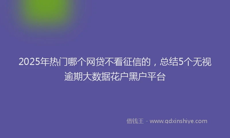2025年热门哪个网贷不看征信的，总结5个无视逾期大数据花户黑户平台