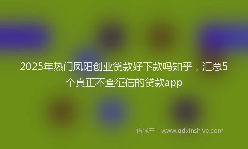 2025年热门凤阳创业贷款好下款吗知乎，汇总5个真正不查征信的贷款app