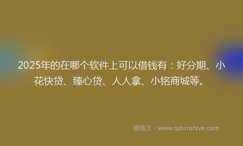 2025年的在哪个软件上可以借钱有：好分期、小花快贷、臻心贷、人人拿、小铭商城等。