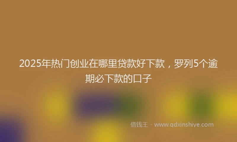 2025年热门创业在哪里贷款好下款，罗列5个逾期必下款的口子