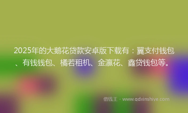 2025年的大鹅花贷款安卓版下载有：翼支付钱包、有钱钱包、橘若租机、金瀛花、鑫贷钱包等。