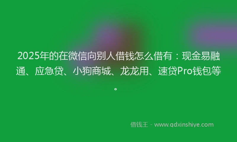 2025年的在微信向别人借钱怎么借有:现金易融通、应急贷、小狗商城、龙龙用、速贷Pro钱包等。