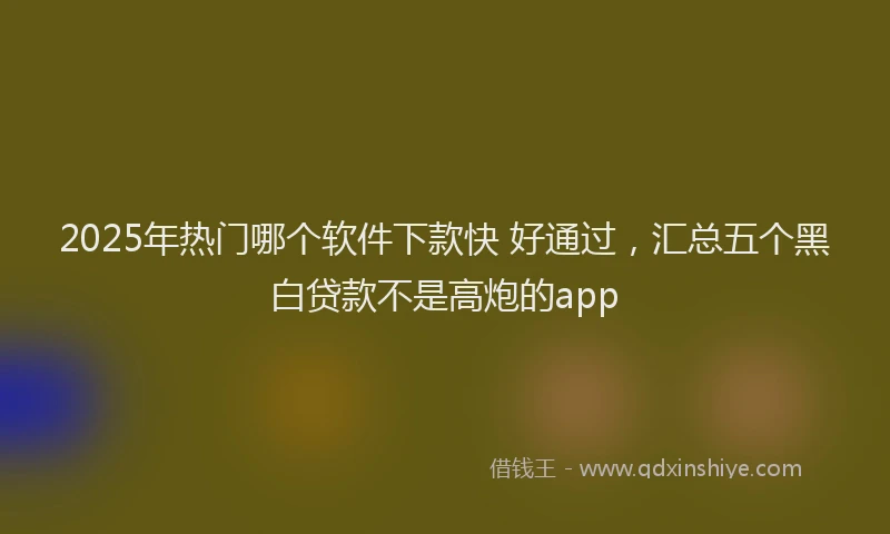 2025年热门哪个软件下款快 好通过，汇总五个黑白贷款不是高炮的app