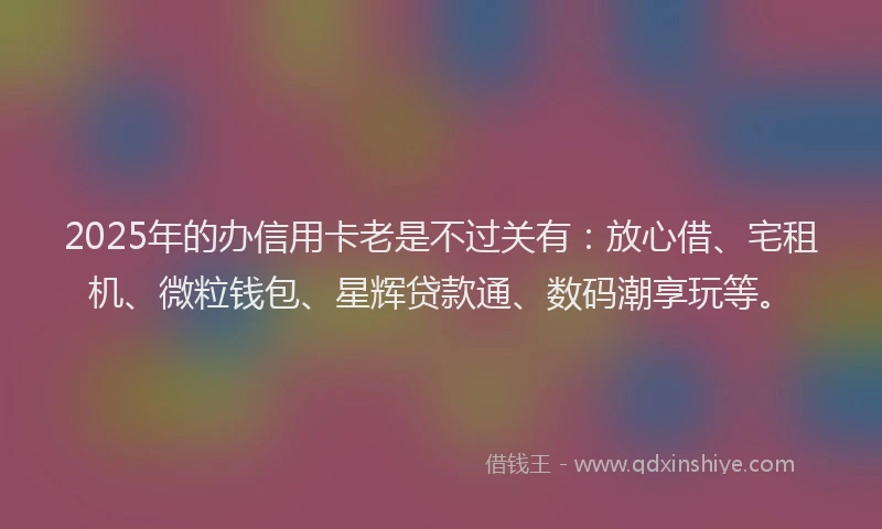 2025年的办信用卡老是不过关有：放心借、宅租机、微粒钱包、星辉贷款通、数码潮享玩等。