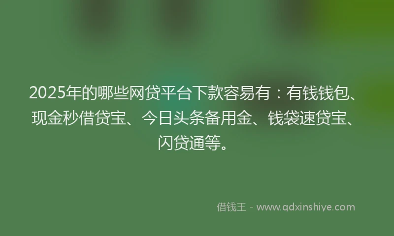 2025年的哪些网贷平台下款容易有：有钱钱包、现金秒借贷宝、今日头条备用金、钱袋速贷宝、闪贷通等。