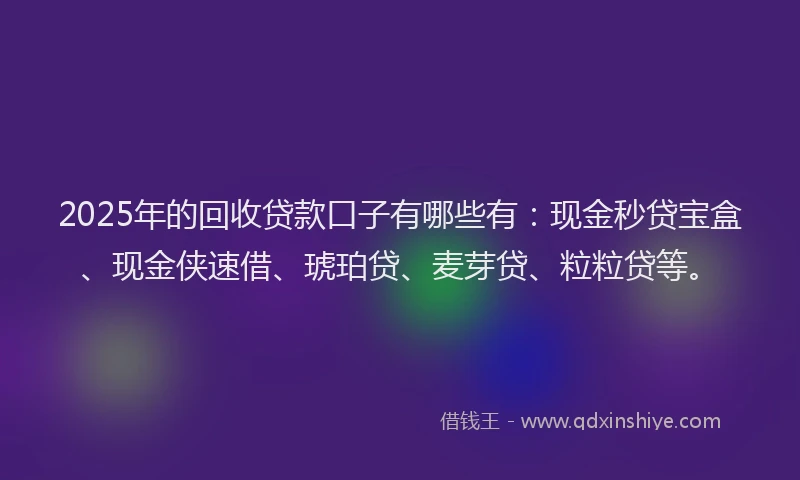 2025年的回收贷款口子有哪些有:现金秒贷宝盒、现金侠速借、琥珀贷、麦芽贷、粒粒贷等。